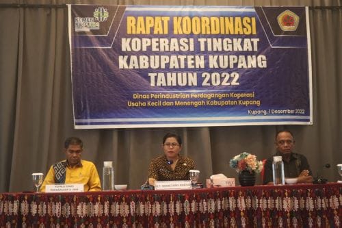 kope 1