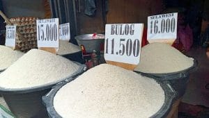 Harga beras yang dijual para pedagang di sejumpah pasar tradisional di Kota Kupang Provinsi Nusa Tenggara Timur dalam sepekan mulai menunjukan tren penurunan. Foto MEDIASI NTT.COM/BENY