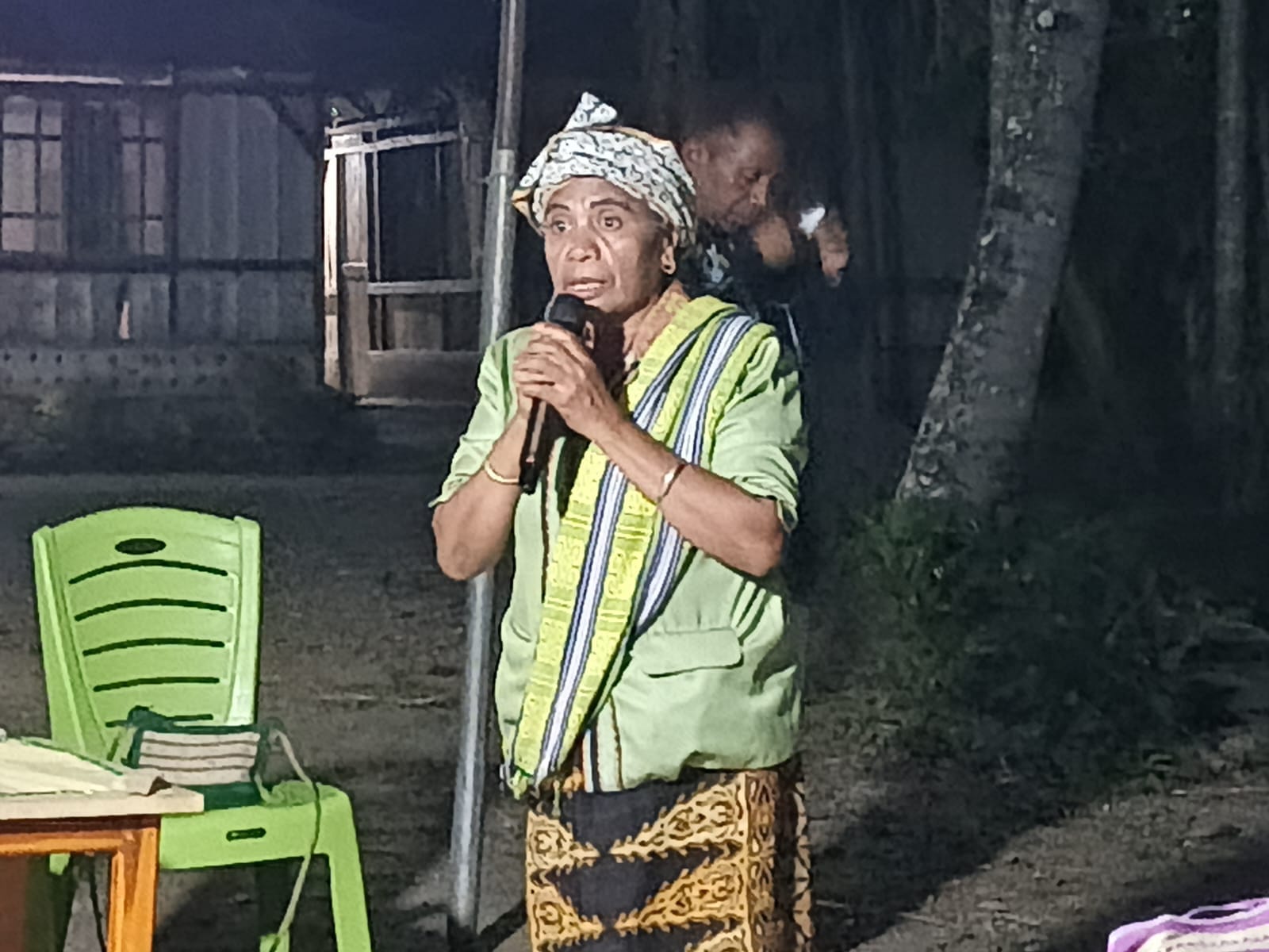 Tokoh aktivis perempuan dan lingkungan hidup Nusa Tenggara Timur (NTT), Aleta Baun