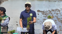 TANA0 setelah Rektor Undana, Prof. Dr. Ir. Jefri S. Bale, S.T., M.Eng., bersama jajaran Resimen Mahasiswa (Menwa) dan para mahasiswa Undana turun gunung dalam aksi “Gerakan Tanam Padi Serentak” se-Provinsi Nusa Tenggara Timur yang dipusatkan di Desa Manusak, Kabupaten Kupang, Senin (16/2/2026).