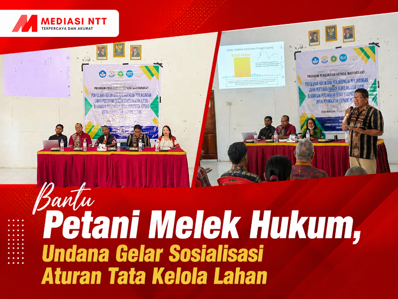 Kepala Desa Manusak, Arthur Ximenes, S.H membuka kegiatan penyuluhan terpadu bertajuk “Penyuluhan Hukum dan Pendampingan Perlindungan Lahan Pertanian Pangan Berkelanjutan (LP2B) di Kawasan Persawahan Oesao Kabupaten Kupang untuk Peningkatan Ekonomi Petani” di Kantor Desa Manusak, Kecamatan Kupang Timur, Kabupaten Kupang, pada 21 Agustus 2026.