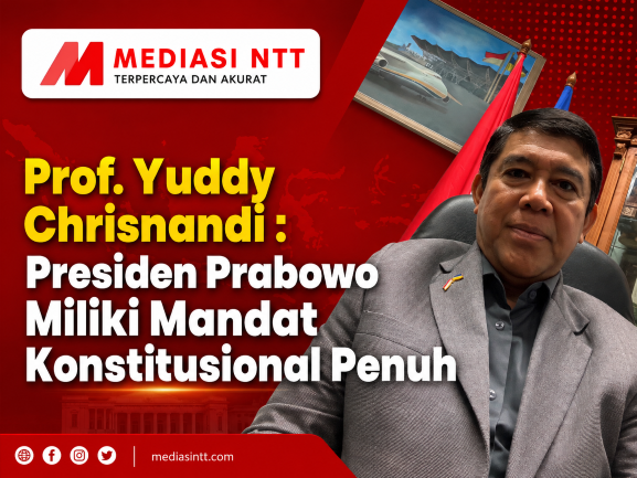 Guru Besar Ilmu Politik Universitas Nasional, Prof. Yuddy Chrisnandi,