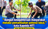 Kapolda NTT Meninjau Lokasi Pembibitan Kelor Di Kabupaten Kupang