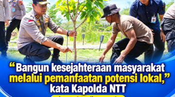 Kapolda NTT Meninjau Lokasi Pembibitan Kelor Di Kabupaten Kupang
