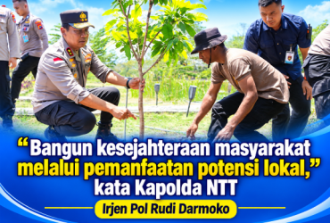 headline-foto