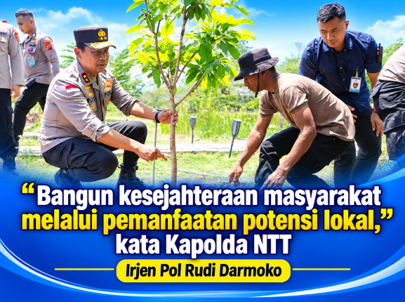 Kapolda NTT Meninjau Lokasi Pembibitan Kelor Di Kabupaten Kupang
