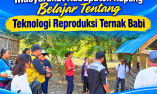 Undana Lakukan Pelatihan Usaha Ternak Bagi Peternak Di Kabupaten Kupang