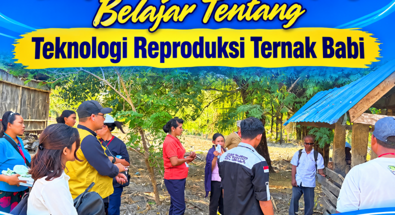 Undana Lakukan Pelatihan Usaha Ternak Bagi Peternak Di Kabupaten Kupang