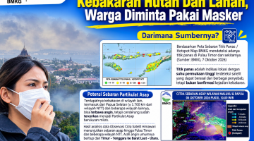 Dampak Kebakaran Hutan Kota Kupang Dikepung Asap
