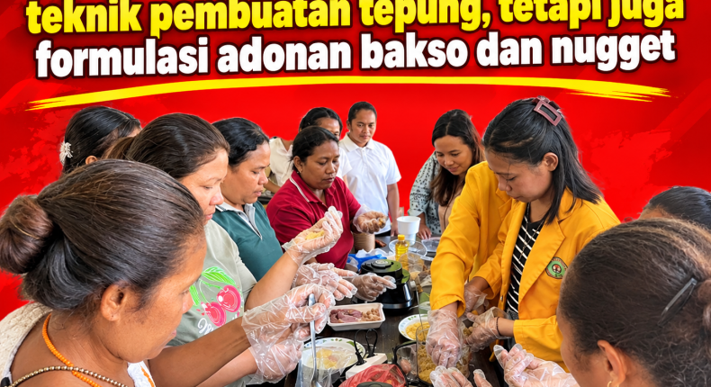PKM Undana Olah Kacang Merah Jadi Tepung Bakso Dan Nugget